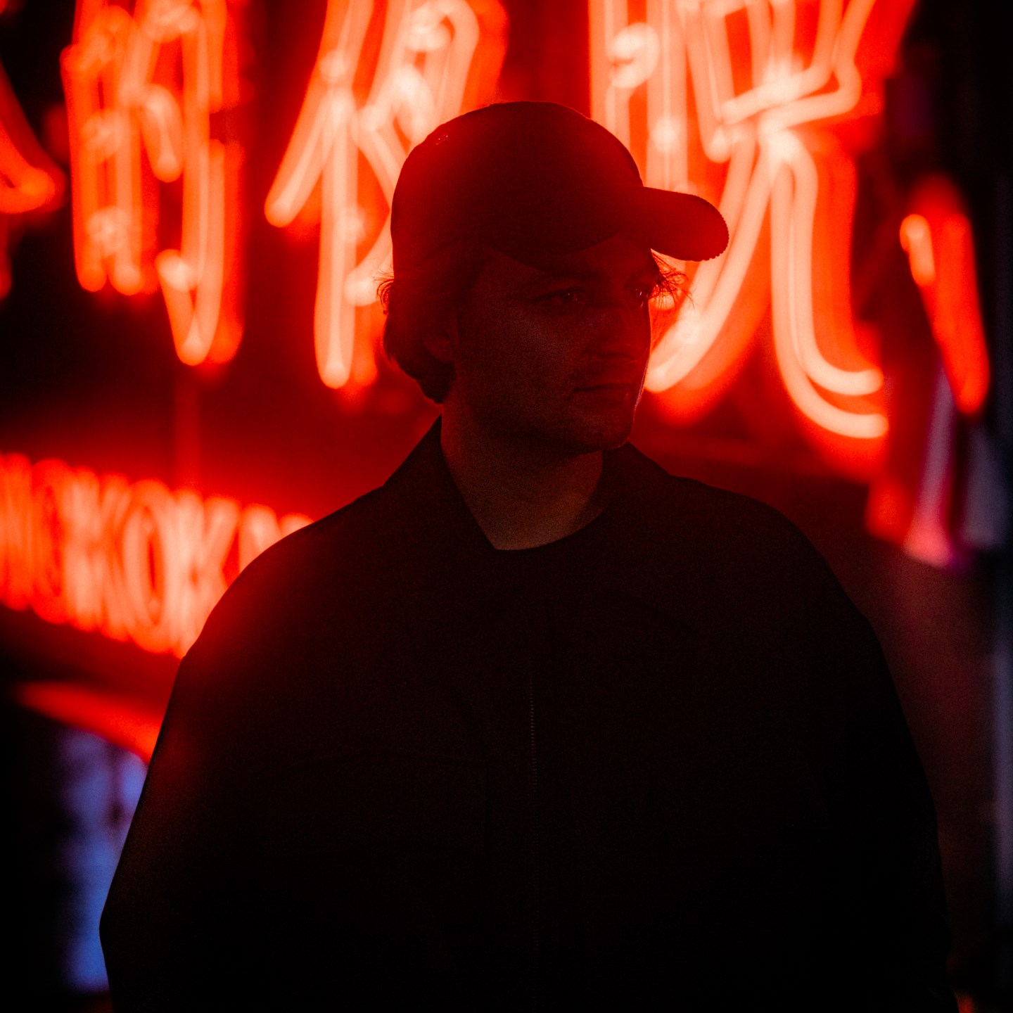 Notre Dame artist image